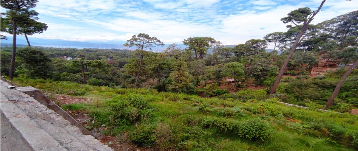 Foto de terreno habitacional en , avándaro, valle de bravo, méxico, 0 foto 01 Foto de terreno habitacional en venta en , avándaro, valle de bravo, méxico, 0 No. 01