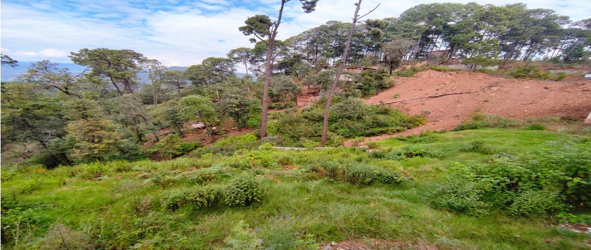 Foto de terreno habitacional en , avándaro, valle de bravo, méxico, 0 foto 02 Foto de terreno habitacional en venta en , avándaro, valle de bravo, méxico, 0 No. 02