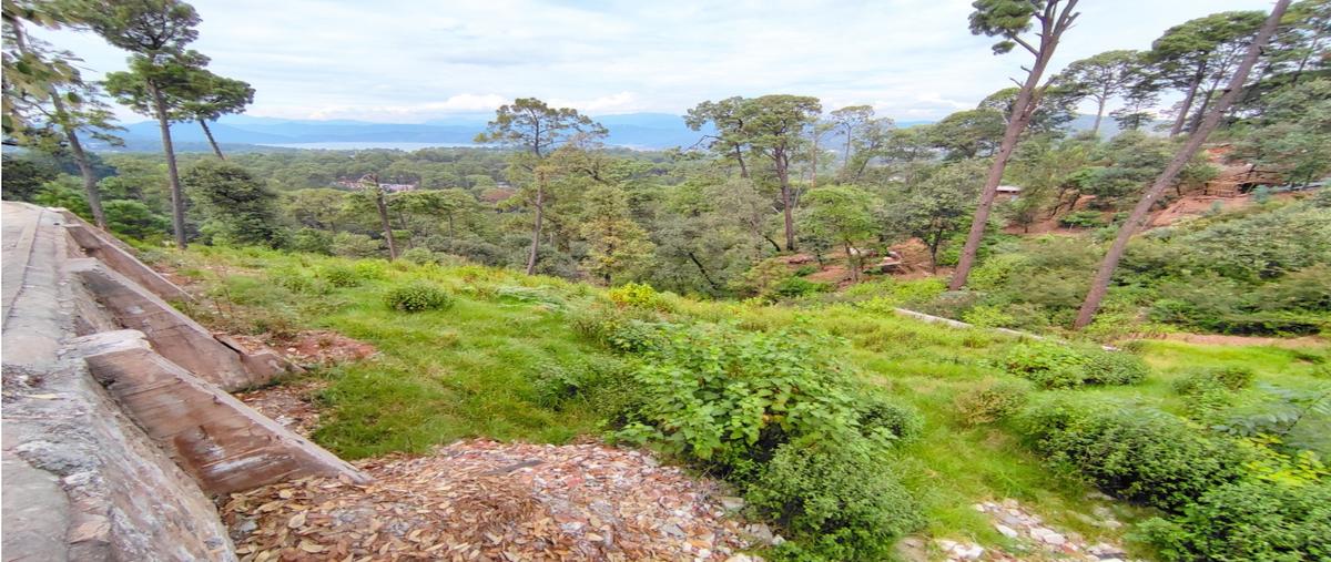Foto de terreno habitacional en , avándaro, valle de bravo, méxico, 0 foto 03 Foto de terreno habitacional en venta en , avándaro, valle de bravo, méxico, 0 No. 03