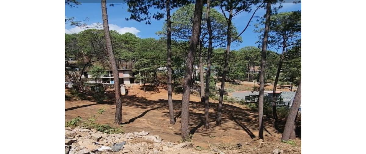 Foto de terreno habitacional en venta en  , avándaro, valle de bravo, méxico, 28463463 No. 03