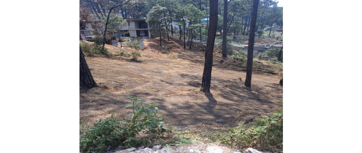 Foto de terreno habitacional en venta en  , avándaro, valle de bravo, méxico, 28463463 No. 04