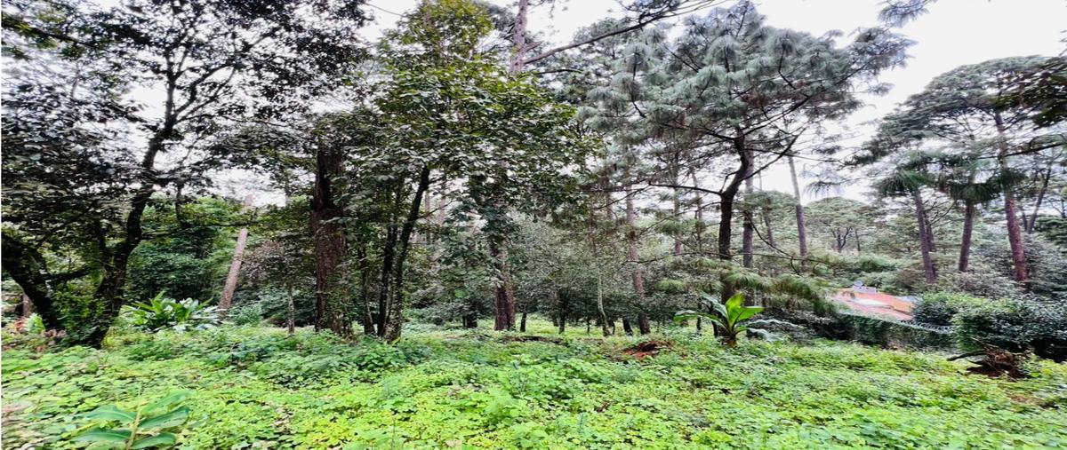 Foto de terreno habitacional en venta en  , avándaro, valle de bravo, méxico, 0 No. 03