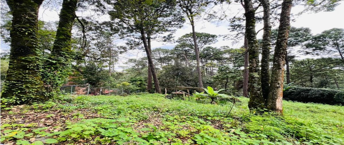 Foto de terreno habitacional en venta en  , avándaro, valle de bravo, méxico, 0 No. 04