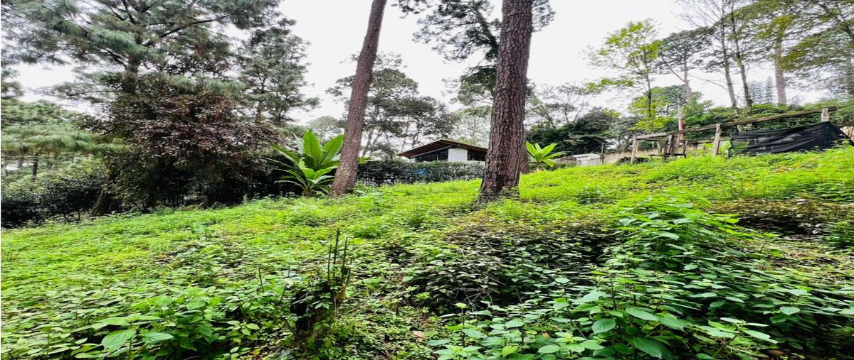 Foto de terreno habitacional en venta en  , avándaro, valle de bravo, méxico, 0 No. 05