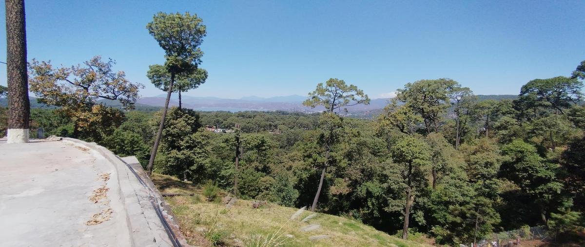 Foto de terreno habitacional en venta en  , avándaro, valle de bravo, méxico, 0 No. 04