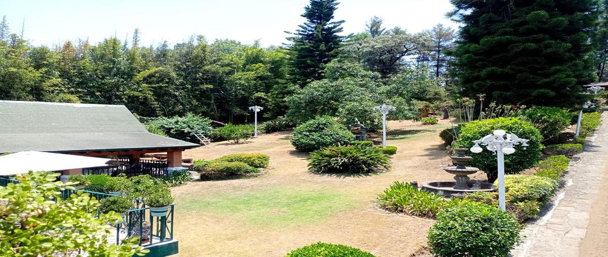Foto de terreno habitacional en venta en  , avándaro, valle de bravo, méxico, 0 No. 04
