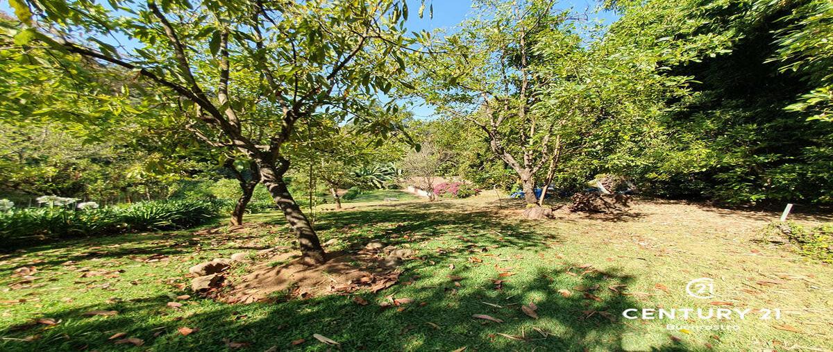 Foto de terreno habitacional en venta en  , avándaro, valle de bravo, méxico, 0 No. 04