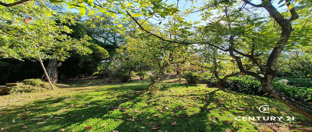 Foto de terreno habitacional en venta en  , avándaro, valle de bravo, méxico, 0 No. 05