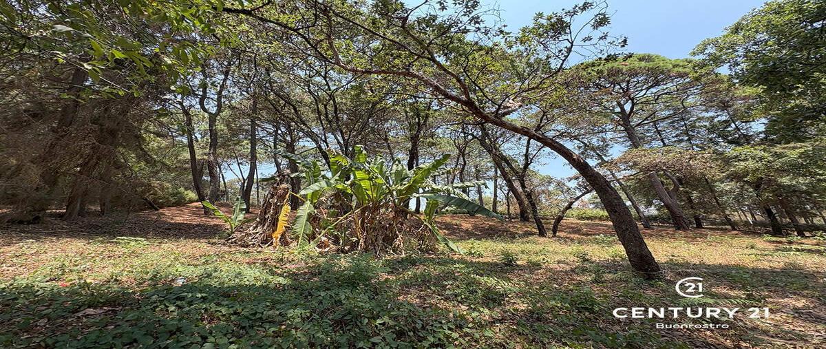 Foto de terreno habitacional en venta en  , avándaro, valle de bravo, méxico, 0 No. 04
