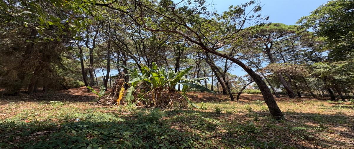 Foto de terreno habitacional en venta en  , avándaro, valle de bravo, méxico, 0 No. 04