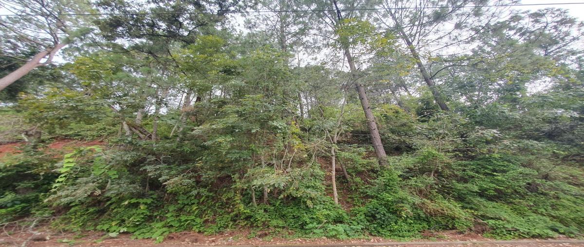 Foto de terreno habitacional en venta en  , avándaro, valle de bravo, méxico, 30180334 No. 05