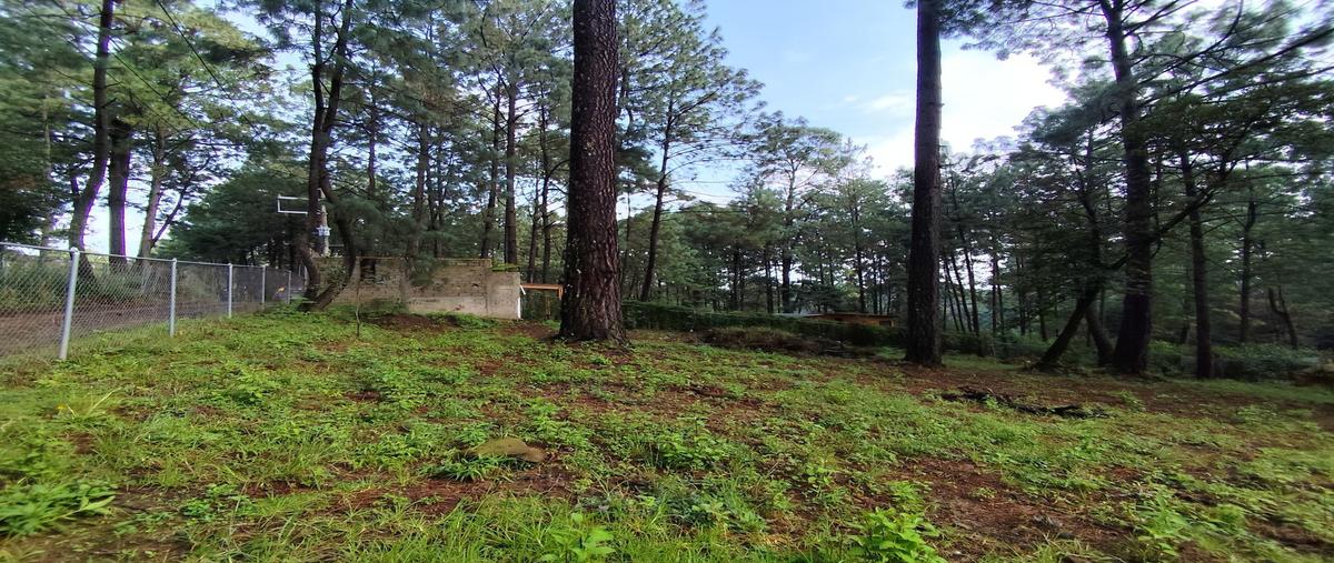 Foto de terreno habitacional en venta en  , avándaro, valle de bravo, méxico, 30312285 No. 03