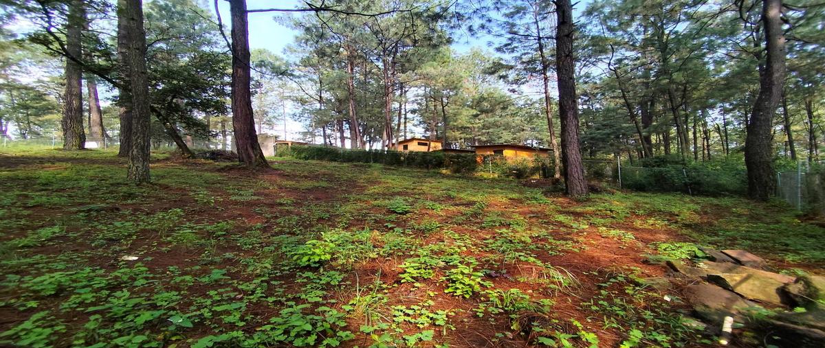 Foto de terreno habitacional en venta en  , avándaro, valle de bravo, méxico, 30312285 No. 04