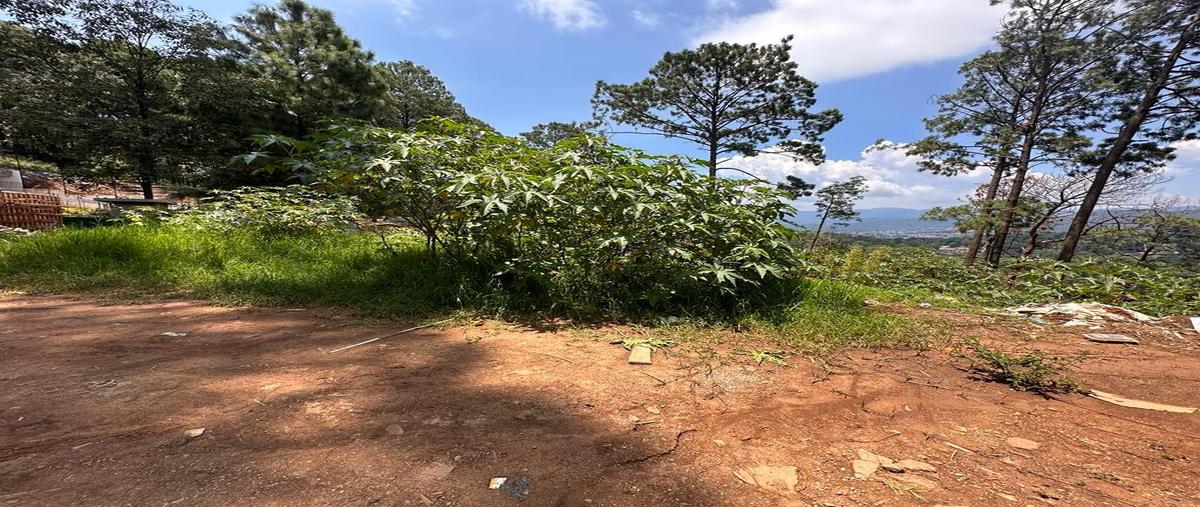 Foto de terreno habitacional en venta en  , avándaro, valle de bravo, méxico, 0 No. 04