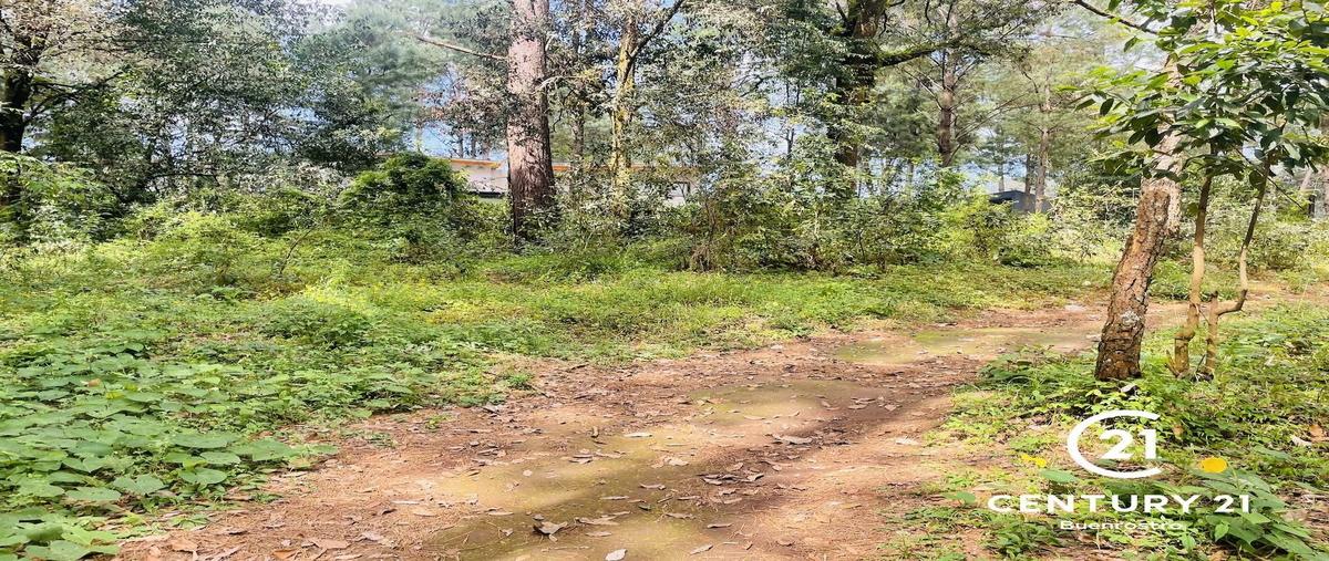 Foto de terreno habitacional en venta en  , avándaro, valle de bravo, méxico, 30495732 No. 03