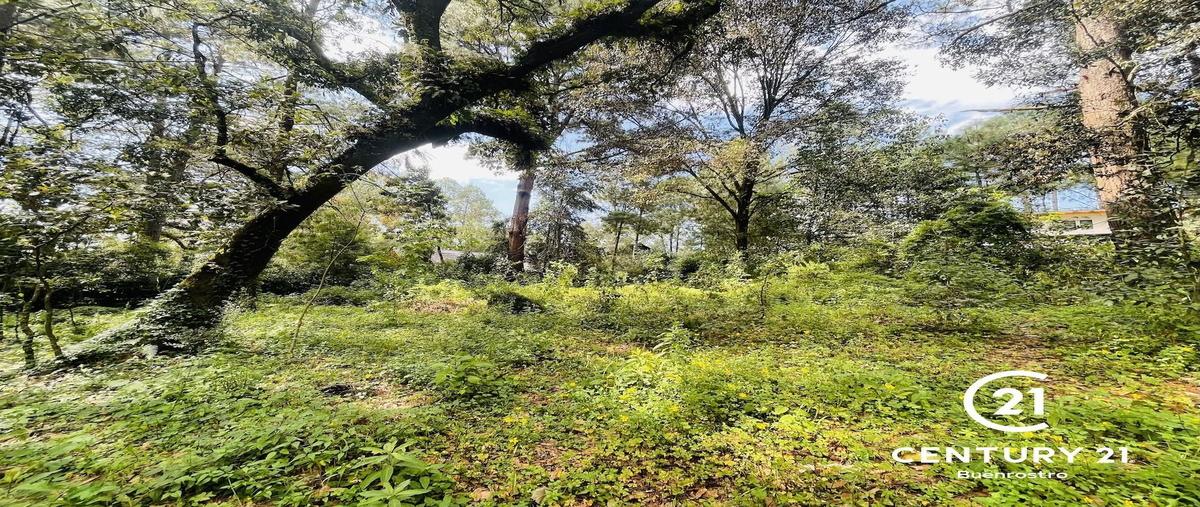 Foto de terreno habitacional en venta en  , avándaro, valle de bravo, méxico, 30495732 No. 04