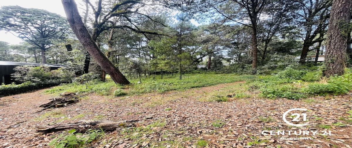 Foto de terreno habitacional en venta en  , avándaro, valle de bravo, méxico, 30495732 No. 05