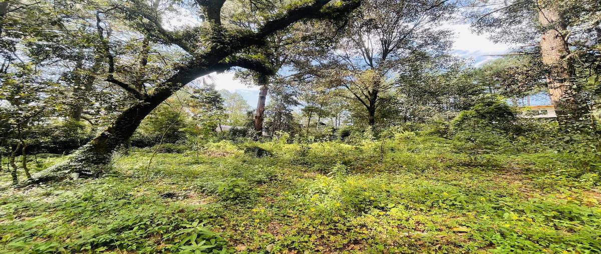 Foto de terreno habitacional en venta en  , avándaro, valle de bravo, méxico, 0 No. 03