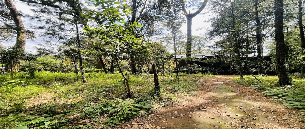 Foto de terreno habitacional en venta en  , avándaro, valle de bravo, méxico, 0 No. 04