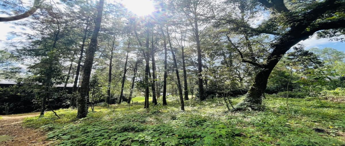 Foto de terreno habitacional en venta en  , avándaro, valle de bravo, méxico, 0 No. 05