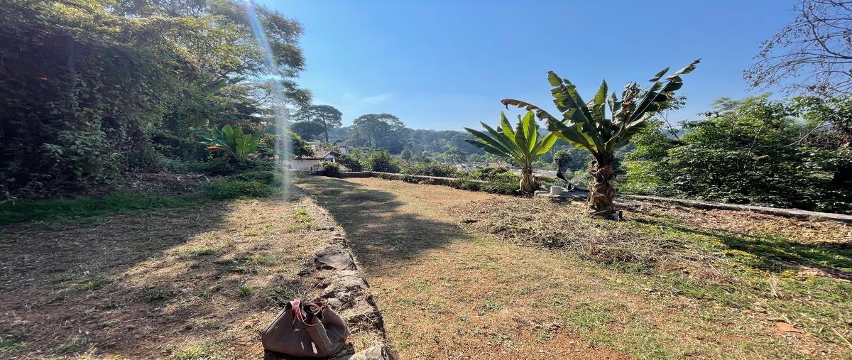 Foto de terreno habitacional en venta en  , avándaro, valle de bravo, méxico, 0 No. 04