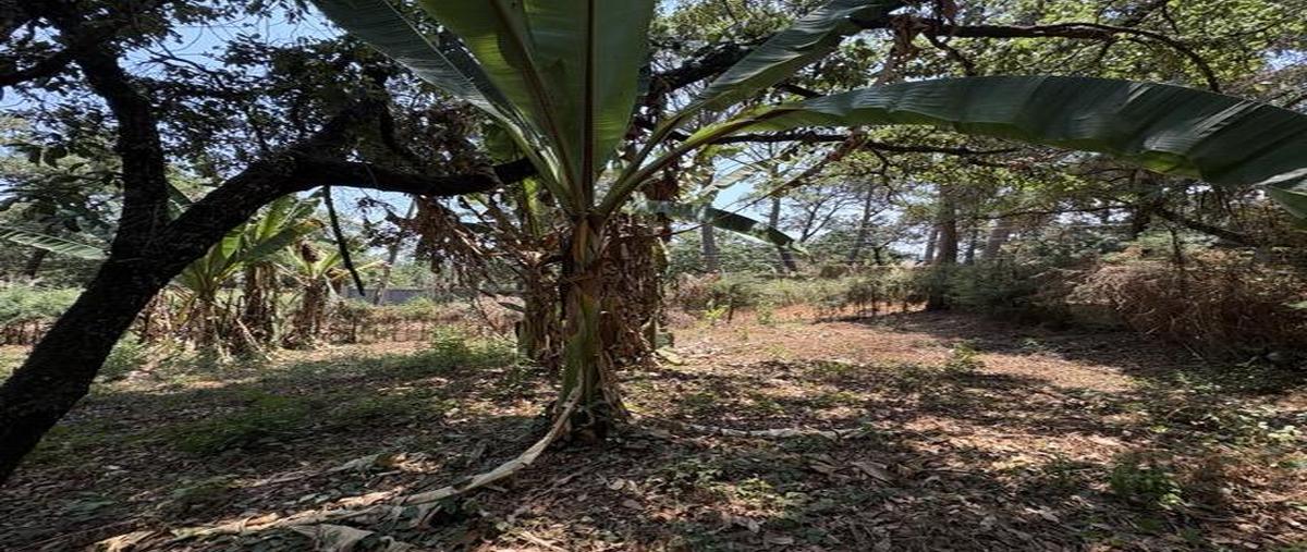 Foto de terreno habitacional en venta en  , avándaro, valle de bravo, méxico, 0 No. 03