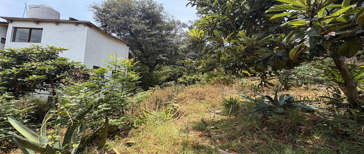 Foto de terreno habitacional en venta en  , avándaro, valle de bravo, méxico, 30836547 No. 03