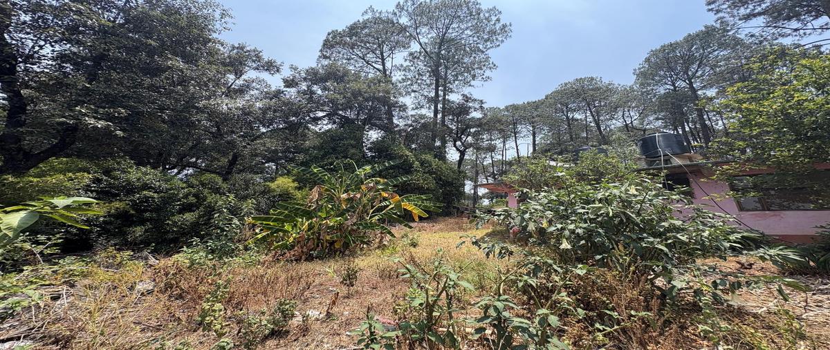 Foto de terreno habitacional en venta en  , avándaro, valle de bravo, méxico, 30836547 No. 04