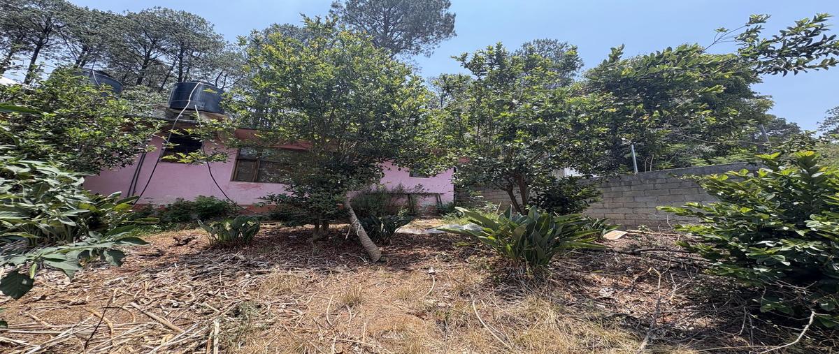 Foto de terreno habitacional en venta en  , avándaro, valle de bravo, méxico, 30836547 No. 05