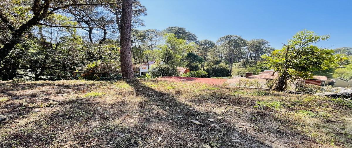 Foto de terreno habitacional en , avándaro, valle de bravo, méxico, 0 foto 01 Foto de terreno habitacional en venta en , avándaro, valle de bravo, méxico, 0 No. 01