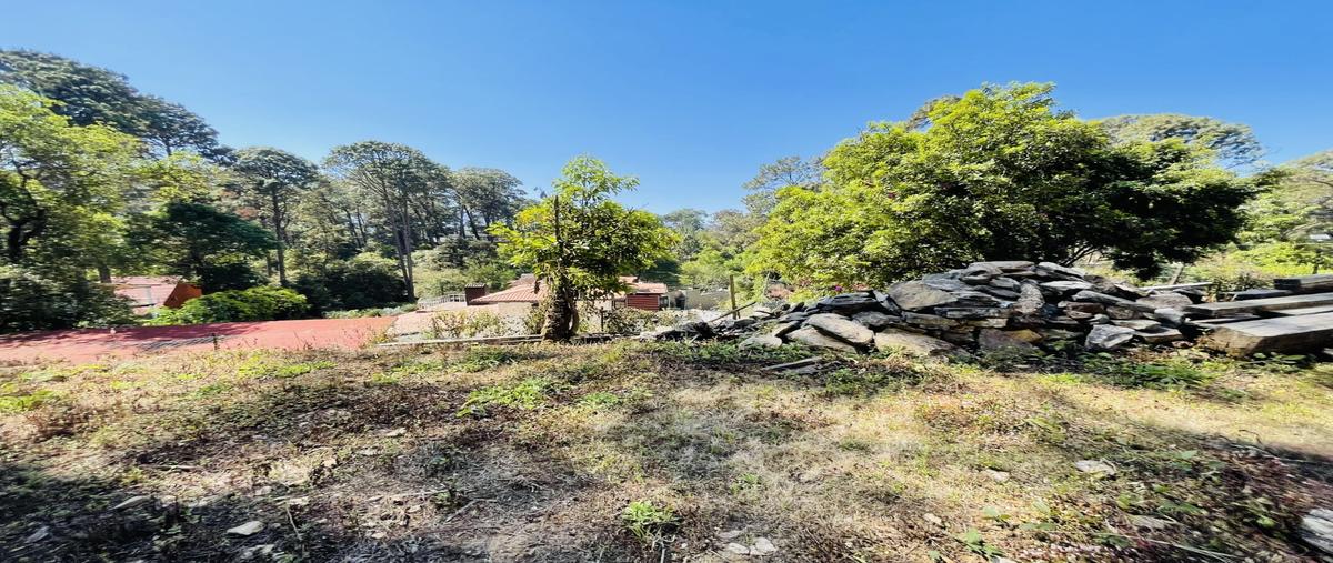 Foto de terreno habitacional en , avándaro, valle de bravo, méxico, 0 foto 02 Foto de terreno habitacional en venta en , avándaro, valle de bravo, méxico, 0 No. 02
