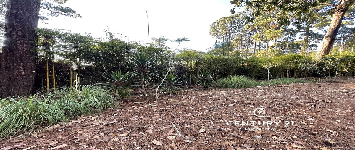 Foto de terreno habitacional en venta en  , avándaro, valle de bravo, méxico, 0 No. 04