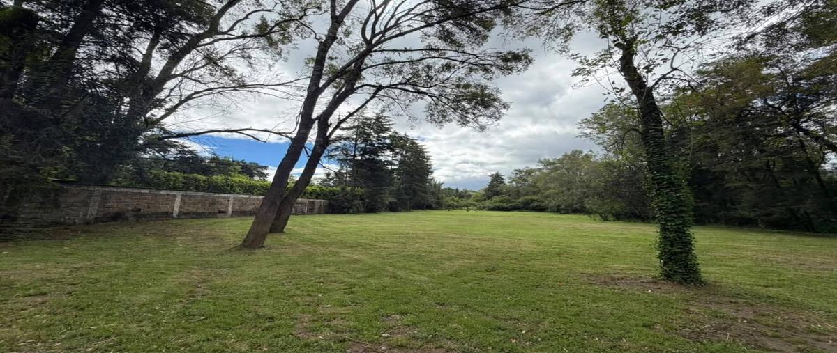 Foto de terreno habitacional en renta en  , avándaro, valle de bravo, méxico, 0 No. 03