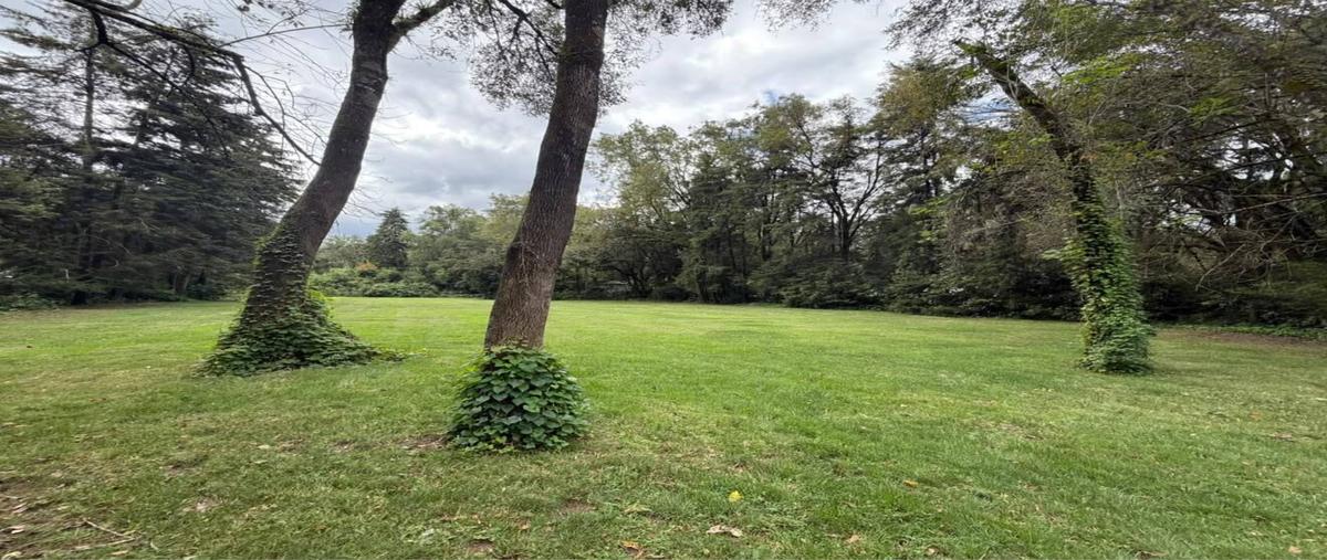 Foto de terreno habitacional en renta en  , avándaro, valle de bravo, méxico, 0 No. 04