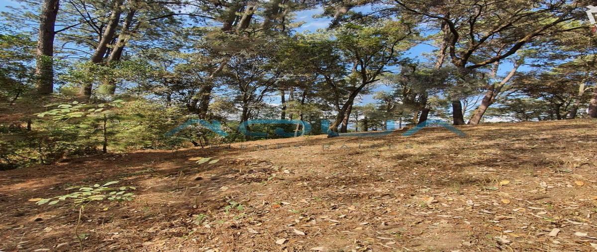 Foto de terreno habitacional en venta en avandaro , valle de bravo, valle de bravo, méxico, 27188389 No. 03