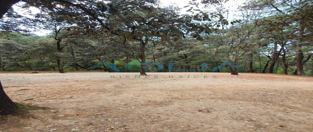 Foto de terreno habitacional en venta en avandaro , valle de bravo, valle de bravo, méxico, 27188389 No. 04