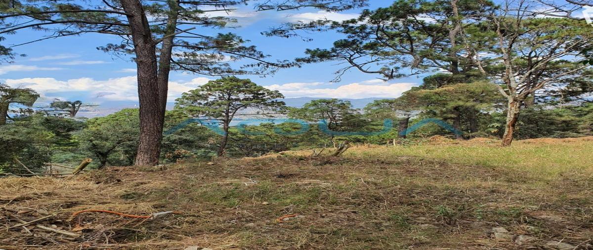 Foto de terreno habitacional en venta en avandaro , valle de bravo, valle de bravo, méxico, 27188389 No. 05