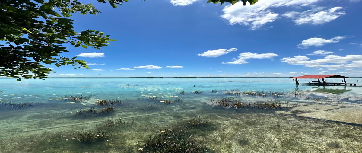 Foto de terreno habitacional en venta en avenida 1 , bacalar dos, bacalar, quintana roo, 30375161 No. 05