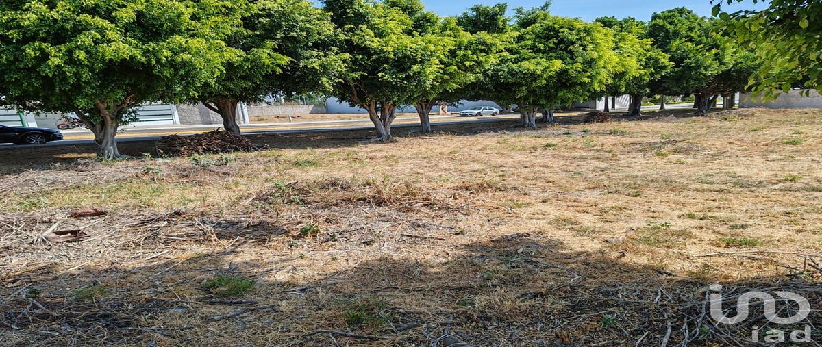 Foto de terreno habitacional en venta en avenida 1 , la hacienda, atlixco, puebla, 0 No. 04