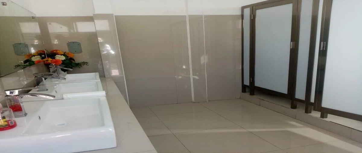 Foto de oficina en renta en avenida 10 de julio , 23 de julio, carmen, campeche, 28859006 No. 04