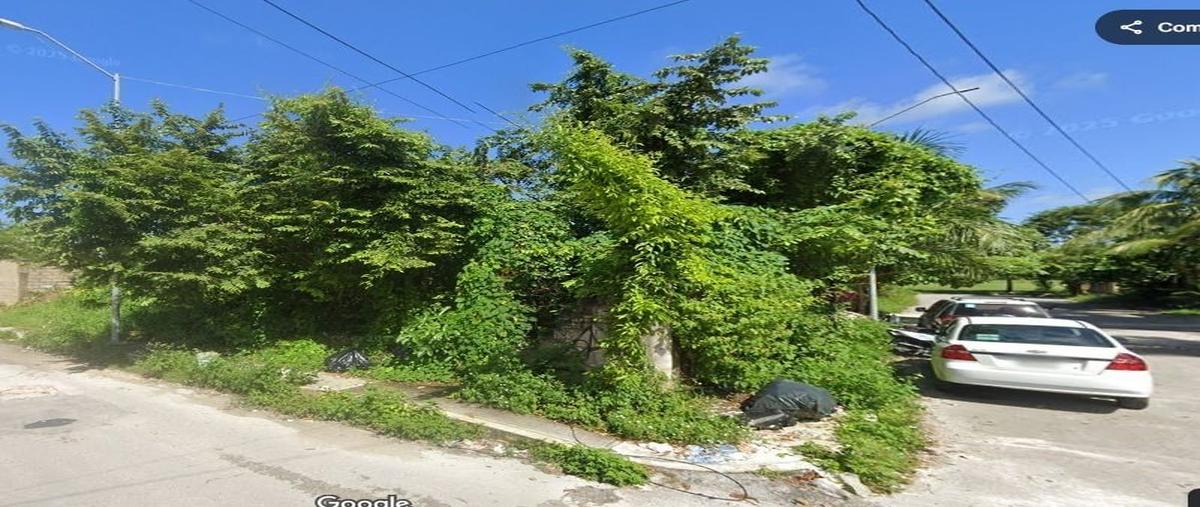 Foto de terreno habitacional en avenida 100 , emiliano zapata, cozumel, quintana roo, 29988458 foto 04 Foto de terreno habitacional en venta en avenida 100 , emiliano zapata, cozumel, quintana roo, 29988458 No. 04