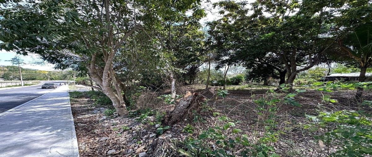 Foto de terreno habitacional en renta en avenida 11 , bacalar dos, bacalar, quintana roo, 26301005 No. 03