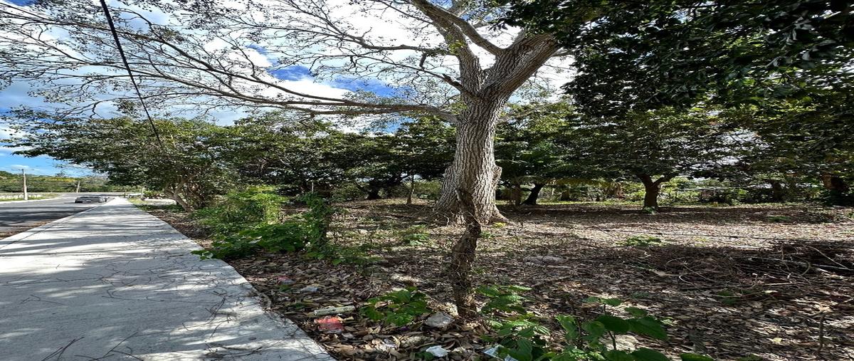 Foto de terreno habitacional en renta en avenida 11 , bacalar dos, bacalar, quintana roo, 26301005 No. 04