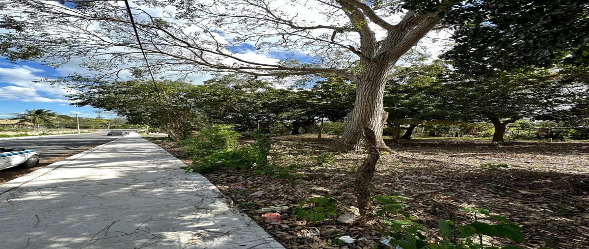 Foto de terreno habitacional en renta en avenida 11 , bacalar dos, bacalar, quintana roo, 26301005 No. 05