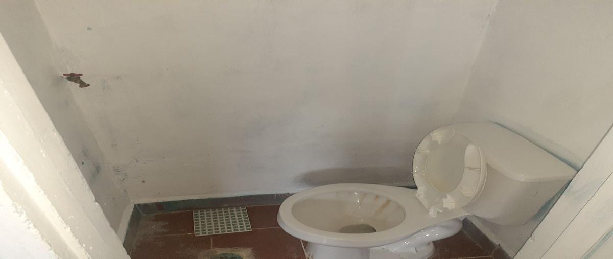 Foto de local en renta en avenida 12 de octubre , la merced, san cristóbal de las casas, chiapas, 25232349 No. 05