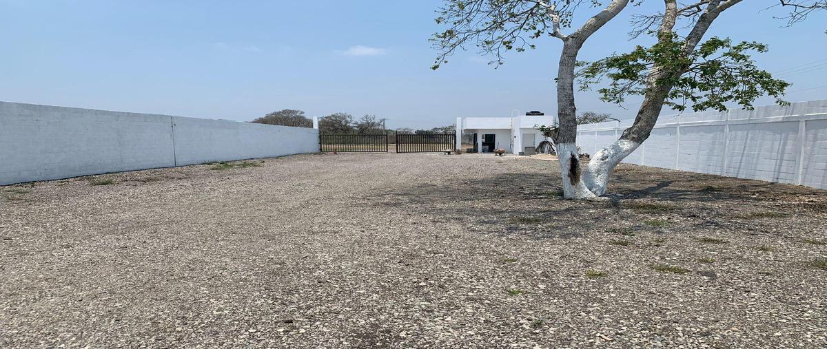 Foto de terreno industrial en renta en avenida 122 , ejido ricardo flores magón, altamira, tamaulipas, 31717572 No. 05