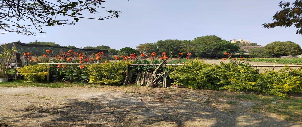 Foto de terreno habitacional en venta en avenida 13 oriente 614, san pablo tecamac, san pedro cholula, puebla, 27930771 No. 03