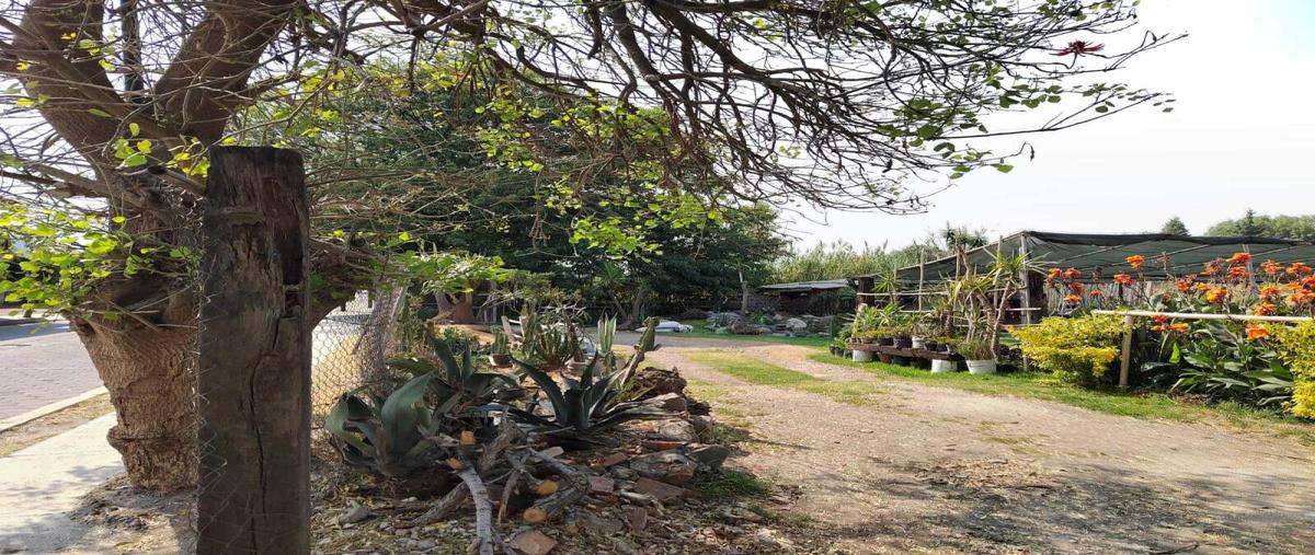 Foto de terreno habitacional en venta en avenida 13 oriente 614, san pablo tecamac, san pedro cholula, puebla, 27930771 No. 05