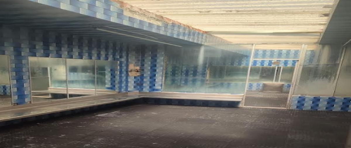 Foto de edificio en venta en avenida 14 oriente , humboldt norte, puebla, puebla, 27884866 No. 05