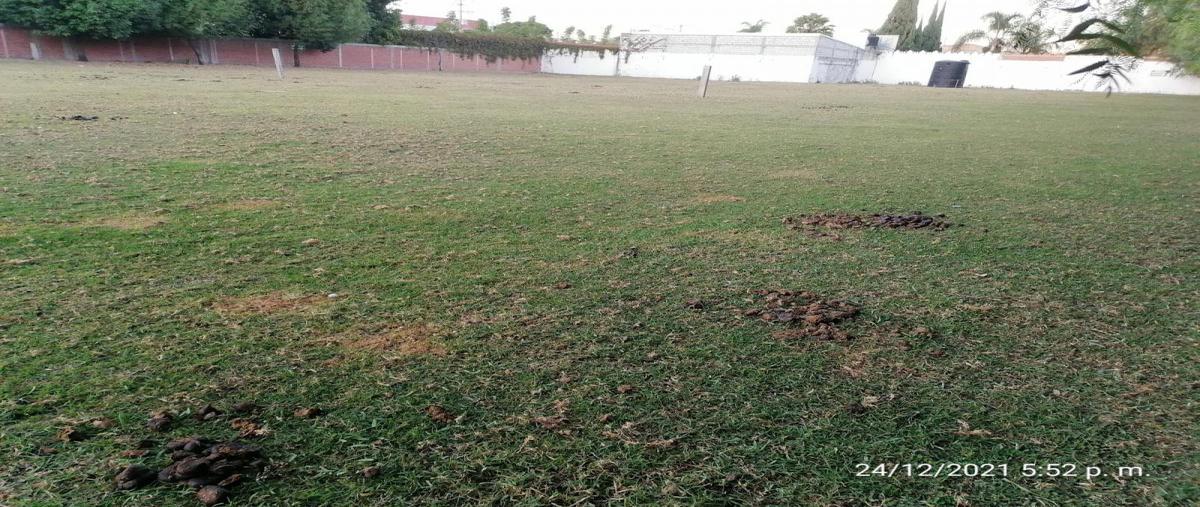 Foto de terreno comercial en renta en avenida 15 de mayo , las hadas mundial 86, puebla, puebla, 0 No. 04